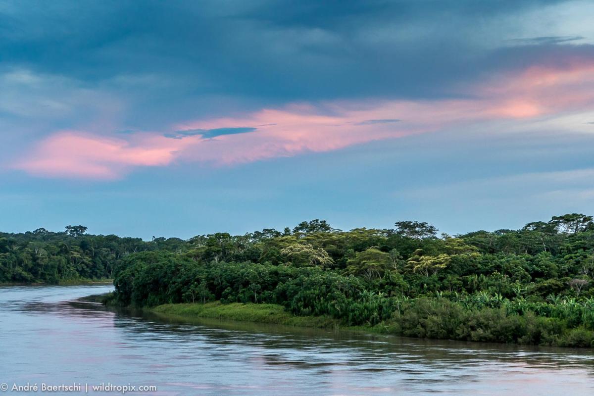 Вилла Casa Amazonas Пуэрто-Мальдонадо Экстерьер фото